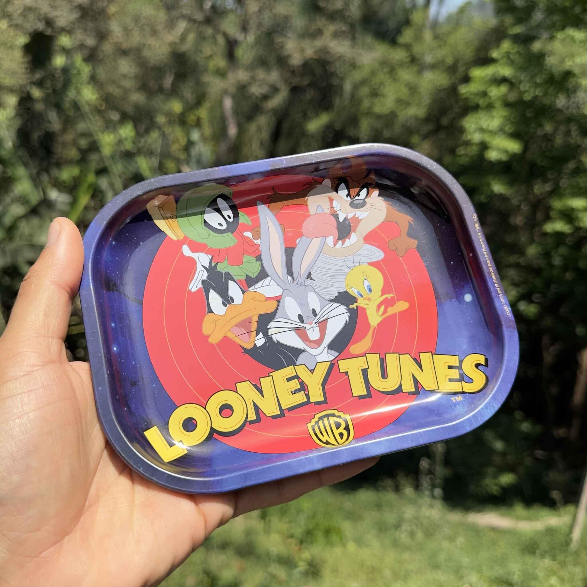 Looney Tunes Metal Tray - 18x14cm