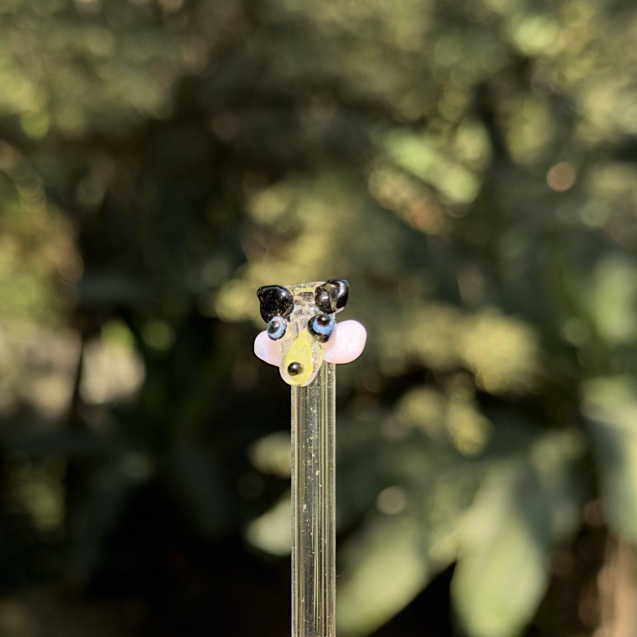 Glass filter tip – Dog
